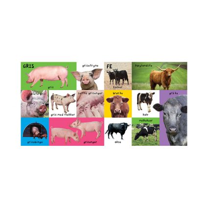 PEKEBOK MINE 100 FØRSTE ORD OM GÅRDEN