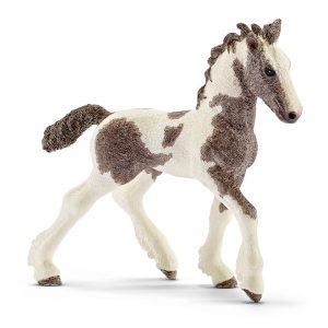 TINKER FOAL