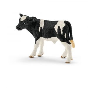 HOLSTEIN CALF