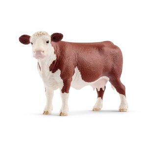 HEREFORD COW