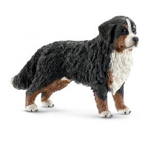 BERNESE MOUNTAIN DOG FEMALE