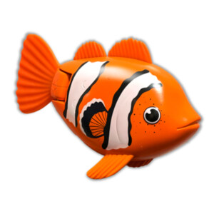 RAINBOW REEF FISH - CLOWN FISH