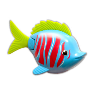 RAINBOW REEF FISH - BETA FISH