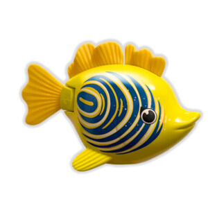 RAINBOW REEF FISH - ZEBRA FISH