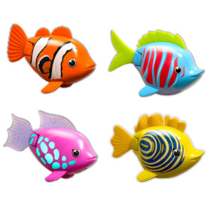 RAINBOW REEF FISH ASST.